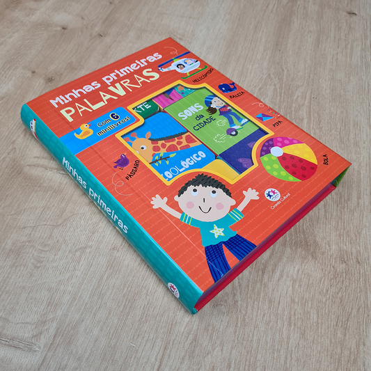 Box com 6 Mini Livros |  Minhas Primeiras Palavras