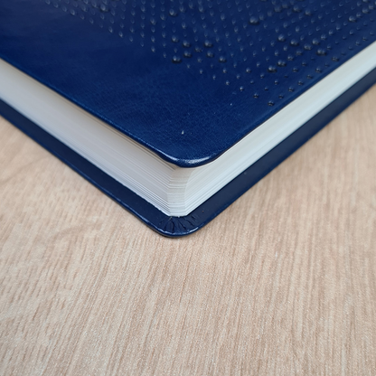 Bìblia Sagrada Slim | NVI | Letra Normal | Capa Luxo Azul