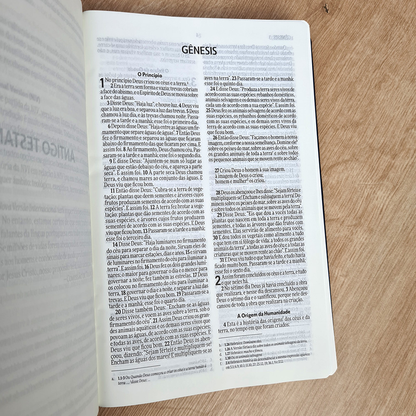 Bìblia Sagrada Slim | NVI | Letra Normal | Capa Luxo Azul