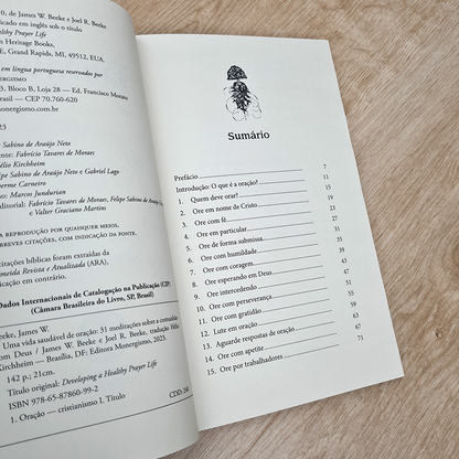 Bíblia Sagrada Slim | NVI | Letra Normal | Capa Luxo Vinho