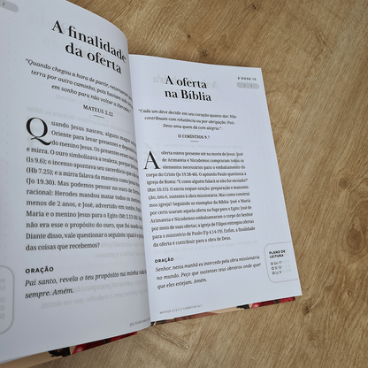 Devocional 365 Doses Bíblicas Diárias | Capa Dura Floral Rosé