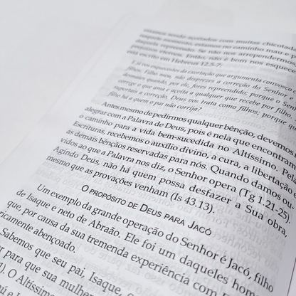 Bíblia Sagrada | O Poder da Oração | ARC | Letra Grande | Capa Semi Luxo C/Ziper