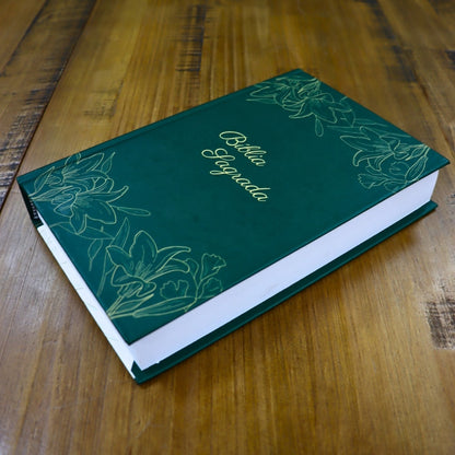 Bíblia Sagrada Pacificadores | NVI | Letra Grande | Capa Dura