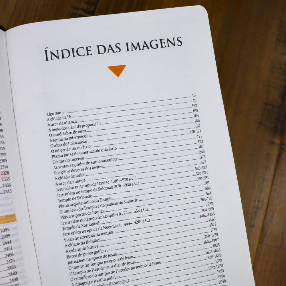 Bíblia de Estudo | NAA | Tamanho Portátil | Capa Luxo Azul | Letra Normal