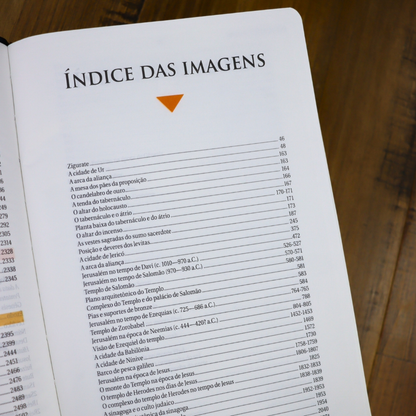 Bíblia de Estudo | NAA | Tamanho Portátil | Capa Luxo Azul | Letra Normal