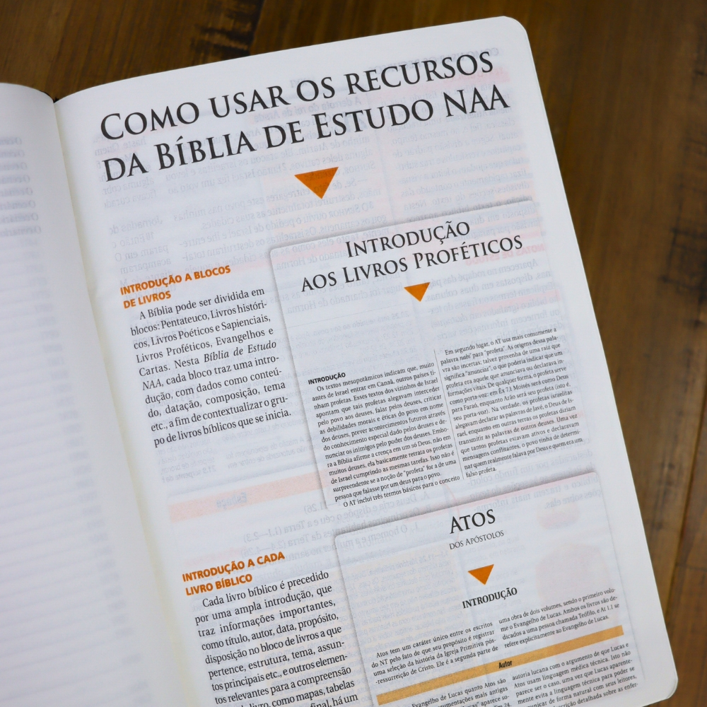 Bíblia de Estudo | NAA | Tamanho Portátil | Capa Luxo Azul | Letra Normal