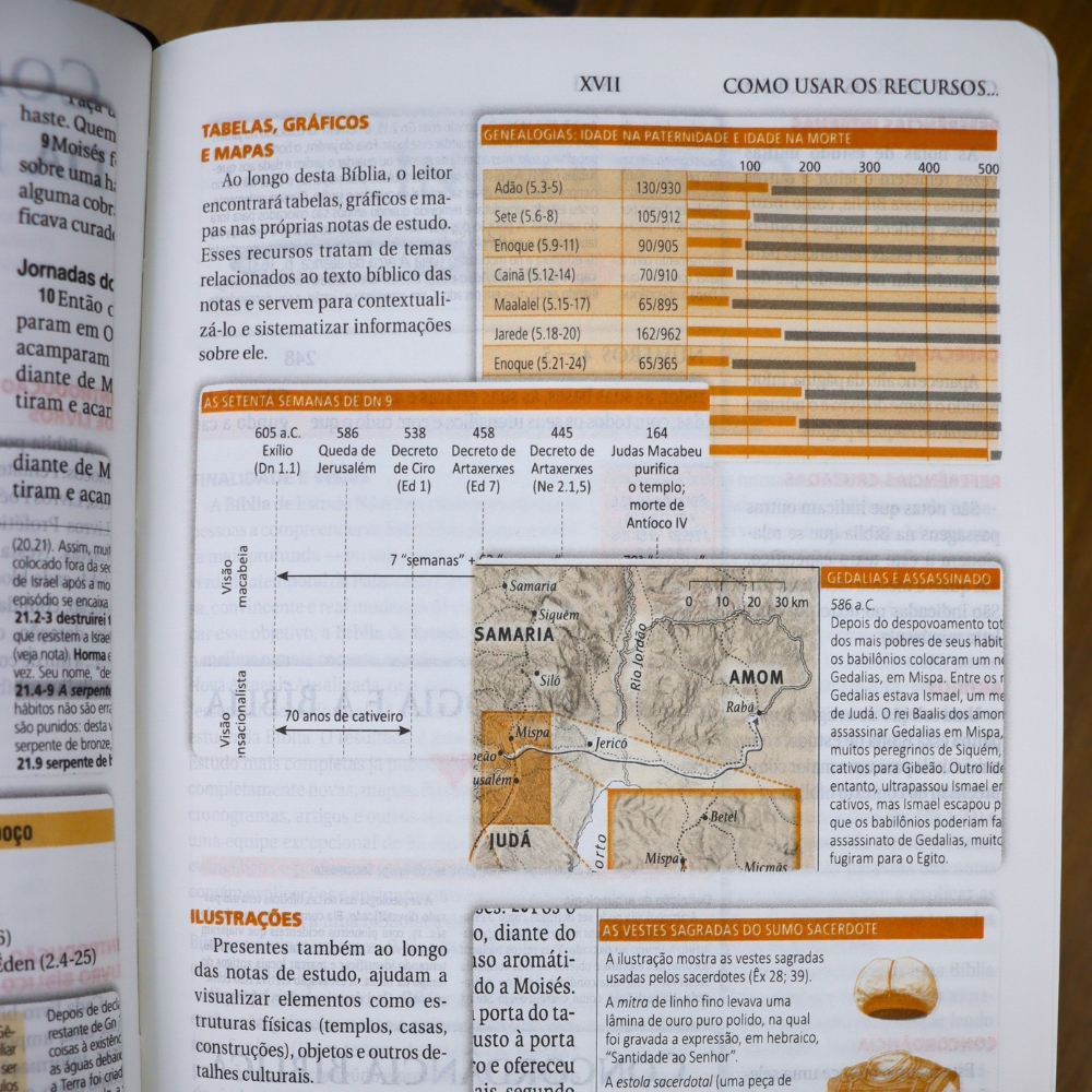 Bíblia de Estudo | NAA | Tamanho Portátil | Capa Luxo Azul | Letra Normal