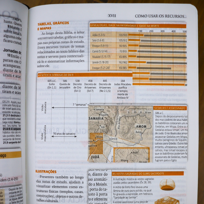Bíblia de Estudo | NAA | Tamanho Portátil | Capa Luxo Azul | Letra Normal