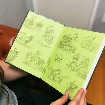 O Pequeno Peregrino Iilustrado