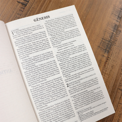 Bíblia Sagrada Capa Leão | NVI | Letra Normal | Capa Dura