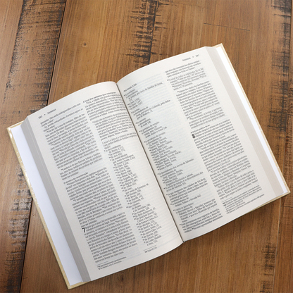 Bíblia Sagrada Capa Coroa | NVI | Letra Normal | Capa Dura