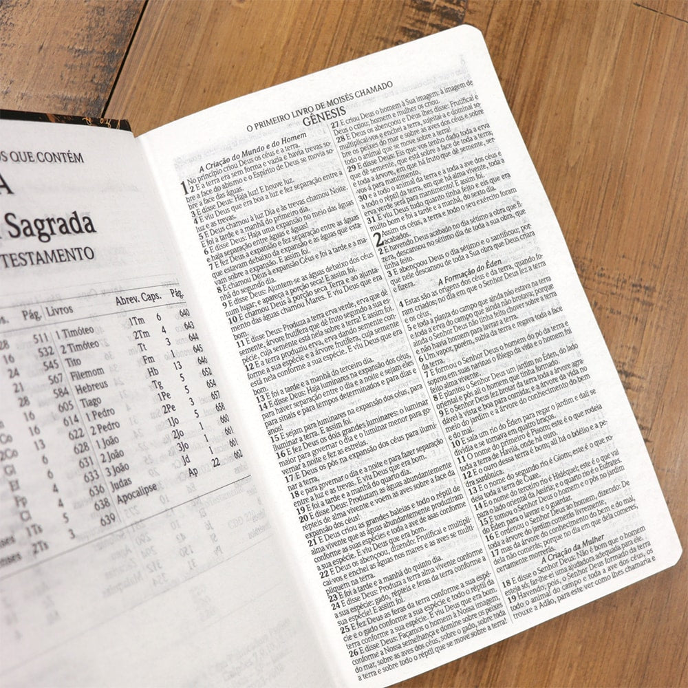 Bíblia Sagrada 860 | ARC | Letra Normal | Com Harpa Avivada e Corinhos | Capa Leão de Judá