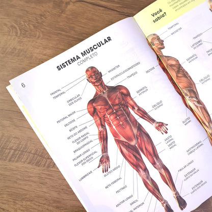 Atlas do Corpo Humano | Edição Revisada e Atualizada