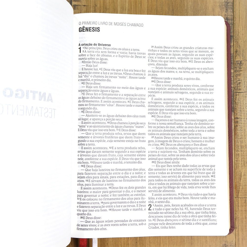 Bíblia Sagrada | NAA | Letra Normal | Capa Couro Legítimo Rubi