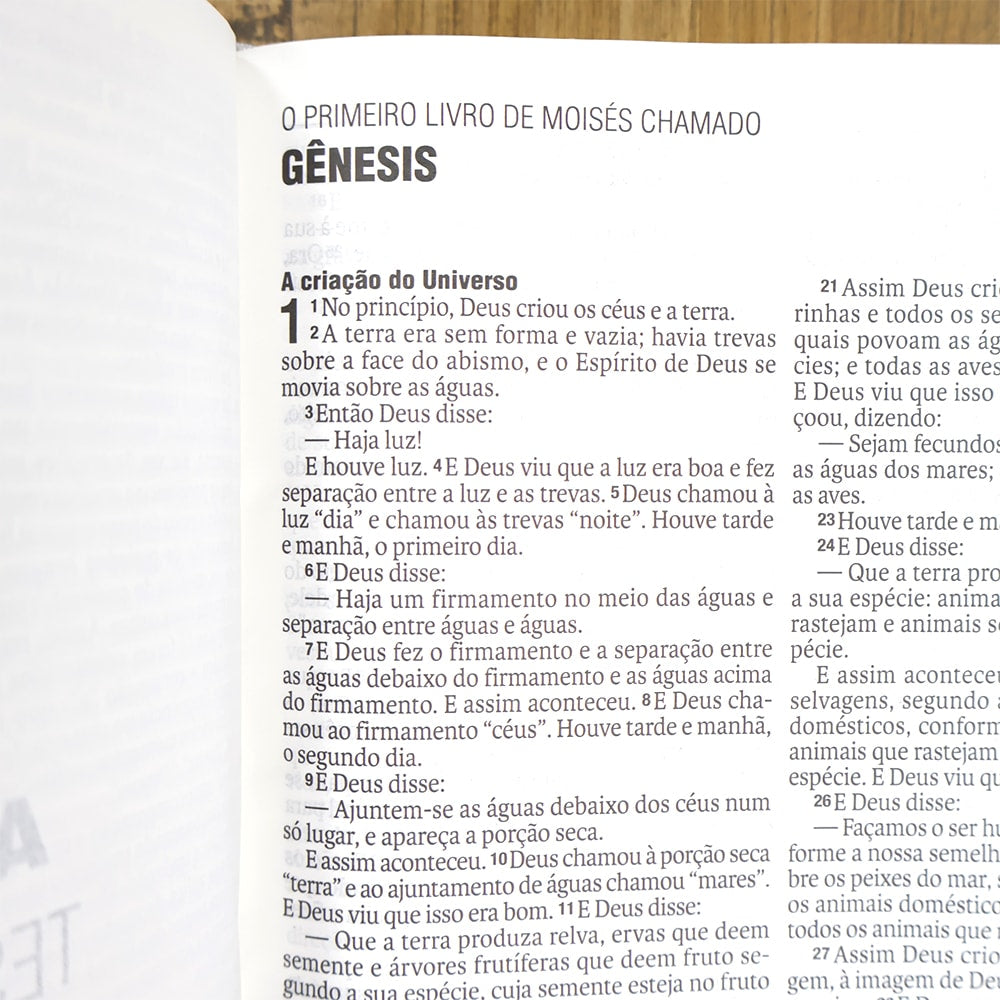 Bíblia Sagrada | NAA | Letra Normal | Capa Couro Legítimo Rubi