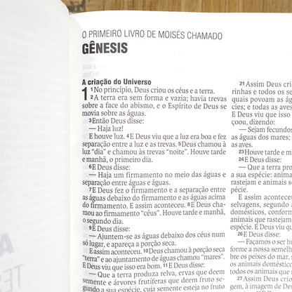 Bíblia Sagrada | NAA | Letra Normal | Capa Couro Legítimo Rubi