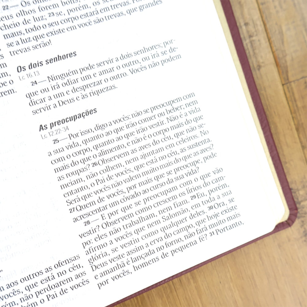 Bíblia Sagrada | NAA | Letra Normal | Capa Couro Legítimo Rubi