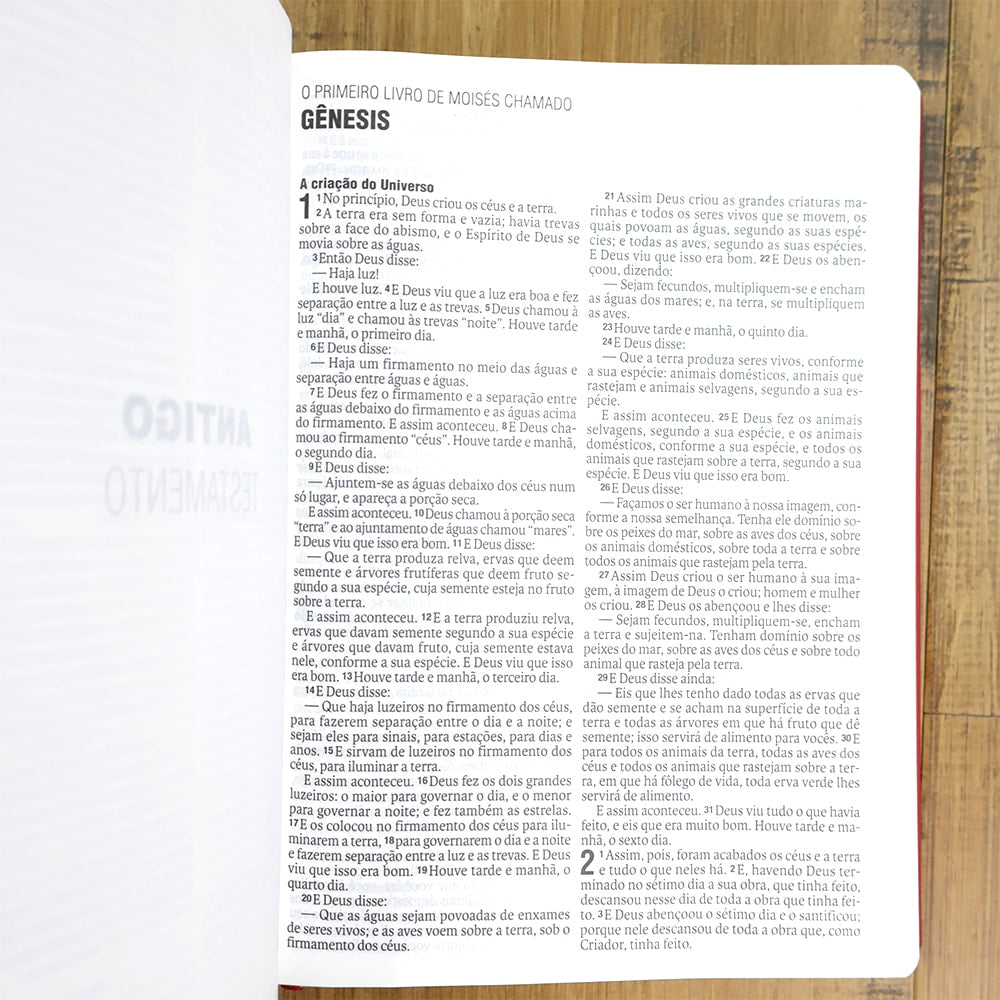 Bíblia Sagrada | NAA | Letra Normal | Capa Couro Legítimo Malagueta