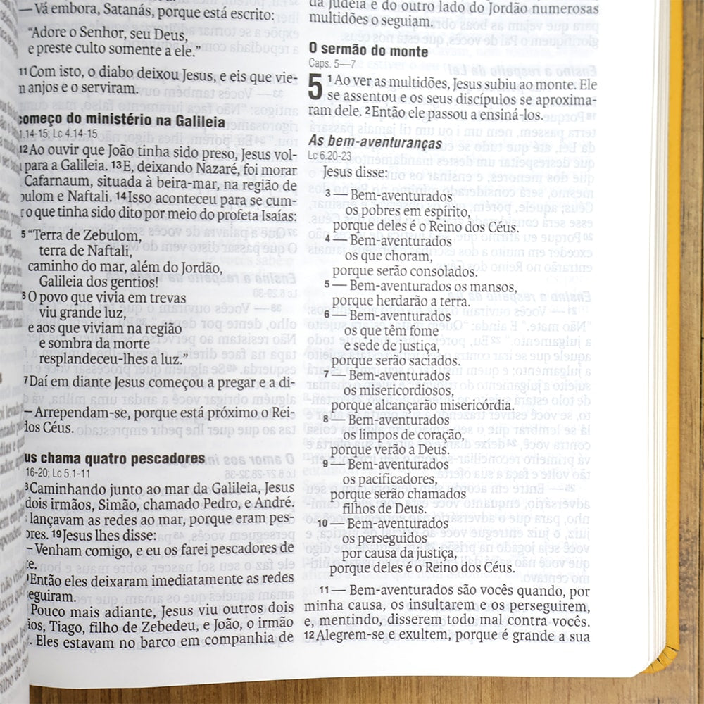 Bíblia Sagrada | NAA | Letra Normal | Capa Couro Legítimo Açafrão