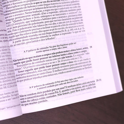 Comentário Evangelho de Mateus | 
Fritz Rienecker
