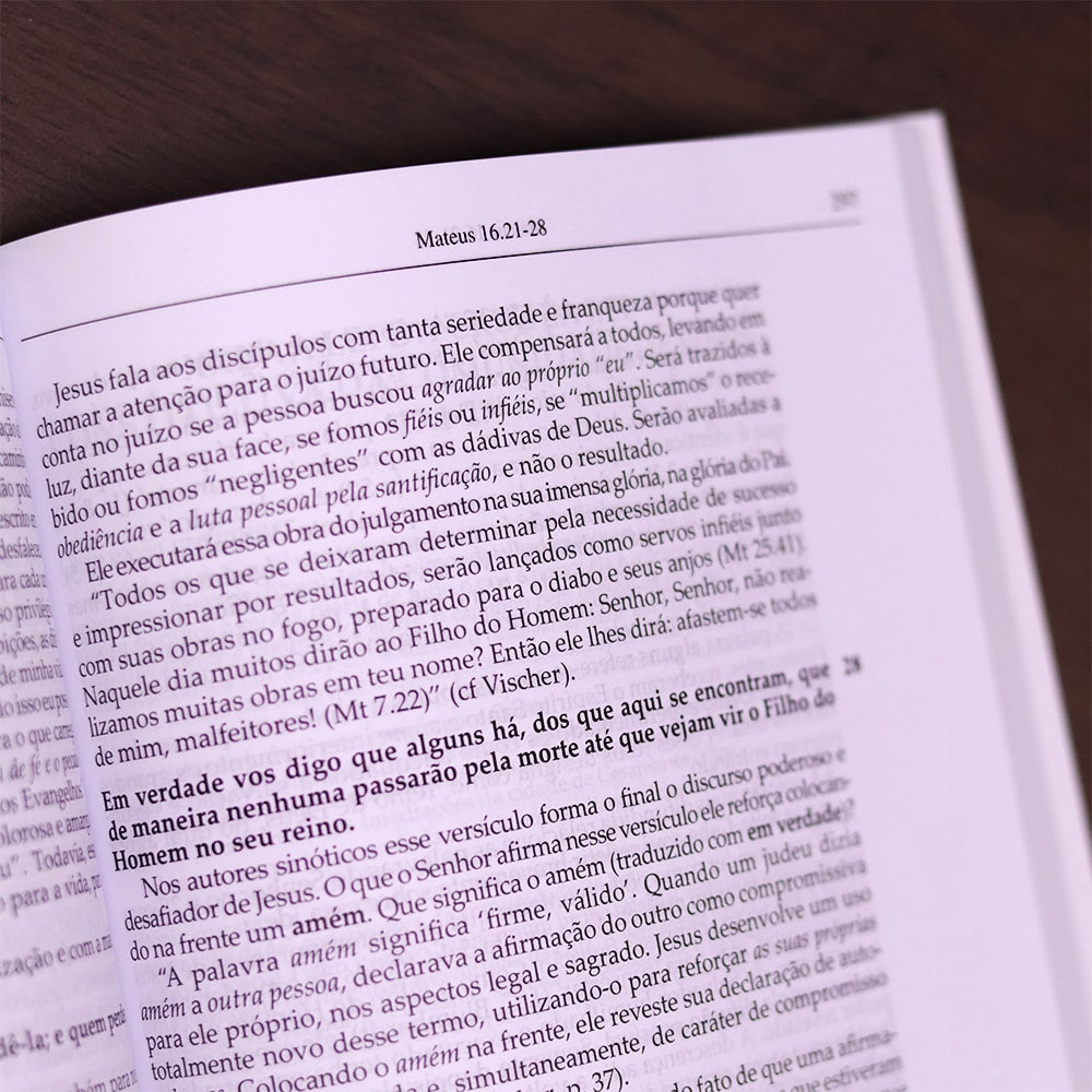 Comentário Evangelho de Mateus | 
Fritz Rienecker