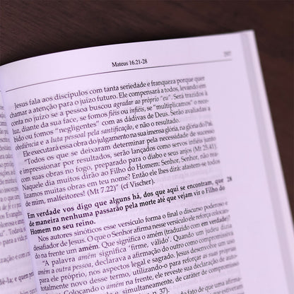 Comentário Evangelho de Mateus | 
Fritz Rienecker