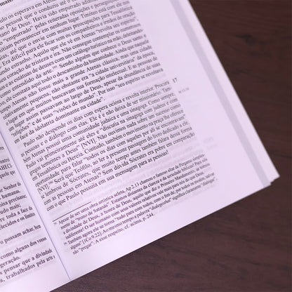 Comentário Evangelho de Atos dos Apóstolos | 
Werner de Boor