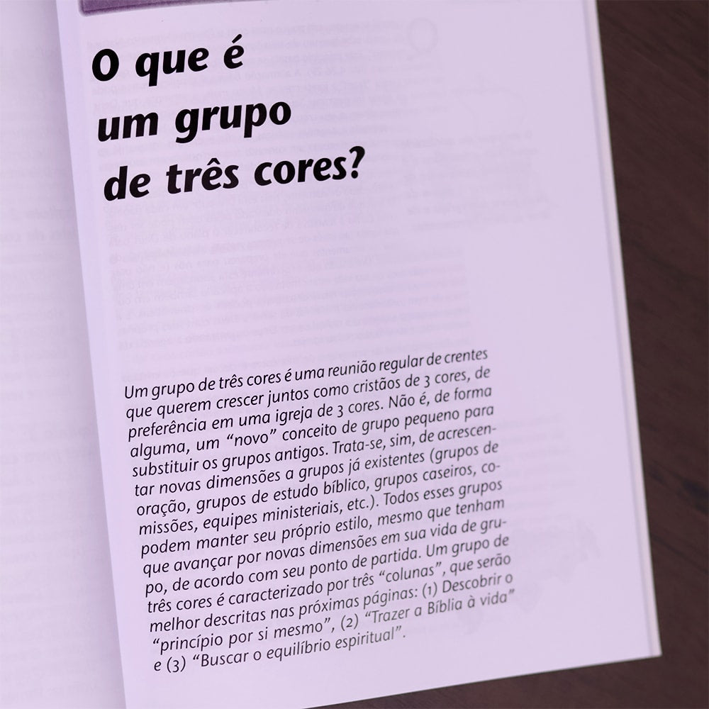 Como Estudar? | Manual do Conselheiro para Ministérios Orientados pelos Dons
 | Christoph Schalk