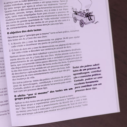 Como Estudar? | Manual do Conselheiro para Ministérios Orientados pelos Dons
 | Christoph Schalk