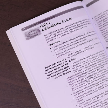 Como Estudar? | Manual do Conselheiro para Ministérios Orientados pelos Dons
 | Christoph Schalk