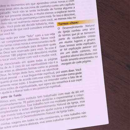 As 3 Cores da Sua Espiritualidade | 
Christian A Schwarz