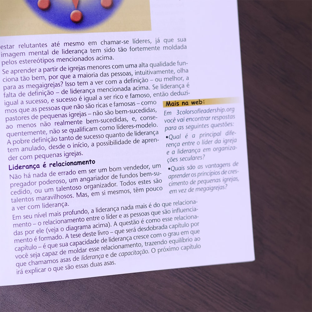 As 3 Cores da Liderança
 | Christian A Schwarz