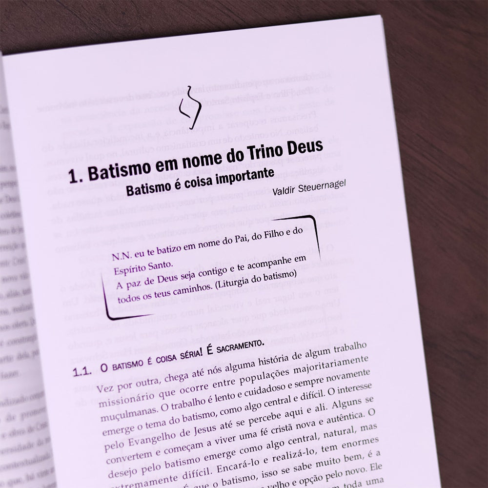 O Espírito Santo o Evangelho e o Batismo