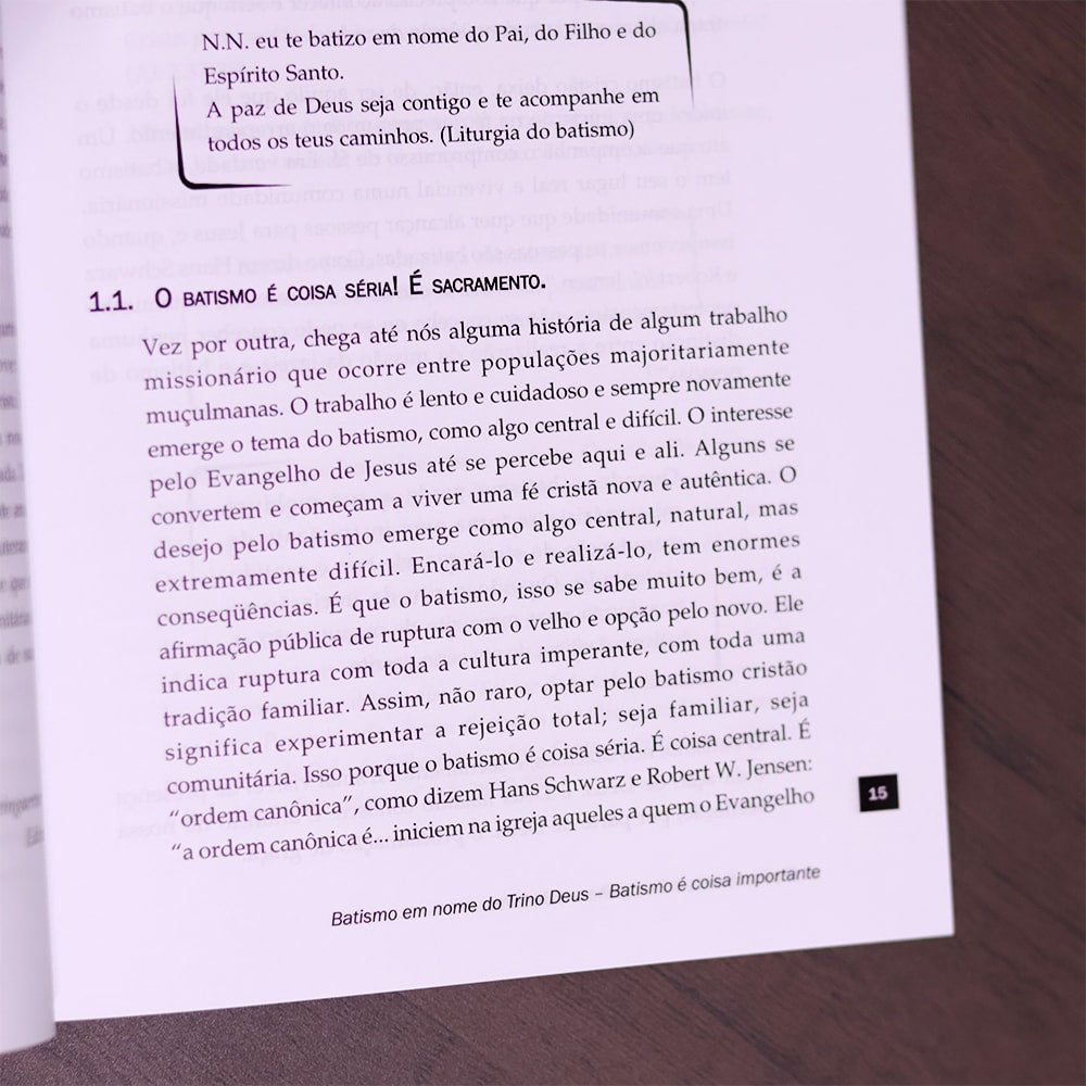 O Espírito Santo o Evangelho e o Batismo