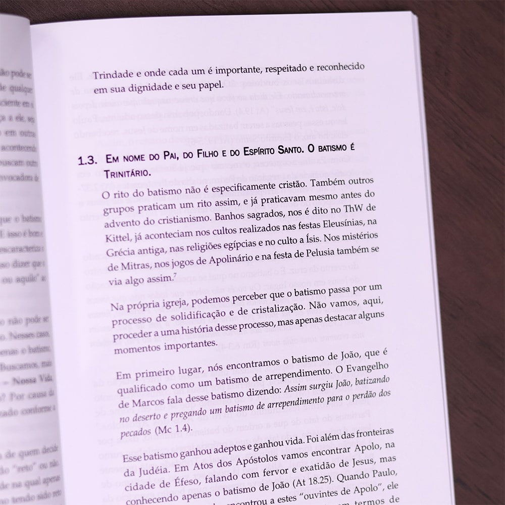 O Espírito Santo o Evangelho e o Batismo