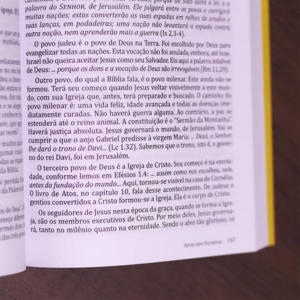 Amor Sem Fronteiras
 | Alcides Jucksch