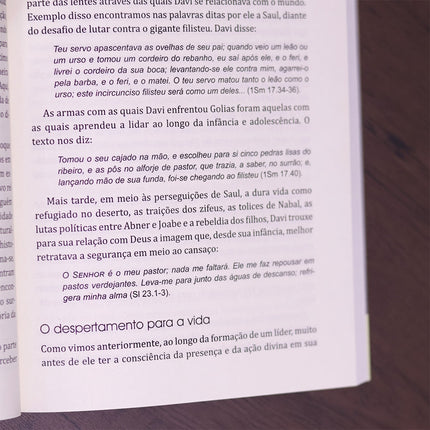 Nova Liderança | 
Ricardo Barbosa de Souza e Valdir R Steuernagel