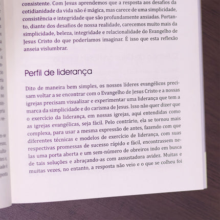 Nova Liderança | 
Ricardo Barbosa de Souza e Valdir R Steuernagel