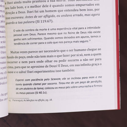 O Lado B do Sofrimento | Fernando Lyra