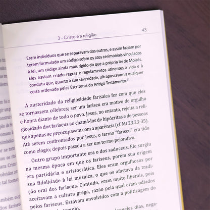 O Caminho Bíblico da Espiritualidade Cristã
 | José Carlos Pezini e Luis Alexandre R Branco