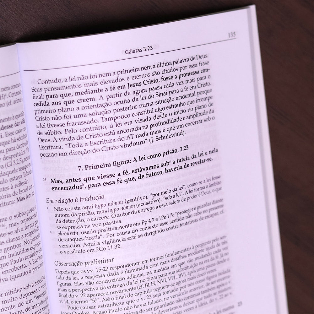 Comentário Carta Aos Gálatas
 | Adolf Pohl