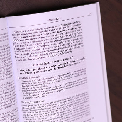 Comentário Carta Aos Gálatas
 | Adolf Pohl