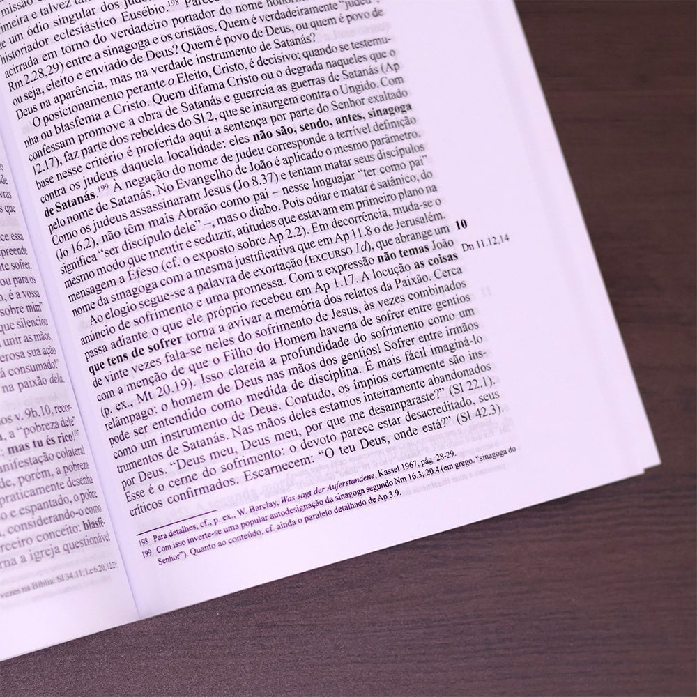 Comentário de Evangelho de João 1 | Werner de Boor