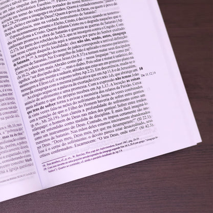 Comentário de Evangelho de João 1 | Werner de Boor