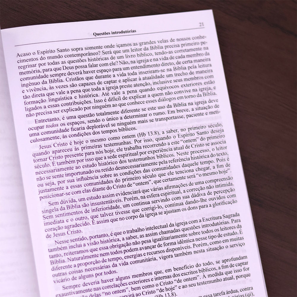Comentário ao Apocalipse de João 1
 | Fritz Rienecker