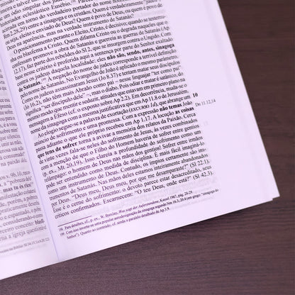 Comentário ao Apocalipse de João 1
 | Fritz Rienecker