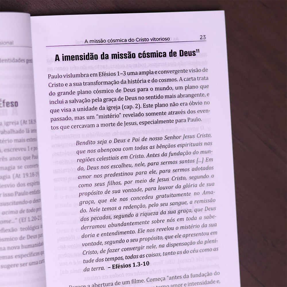 As Cartas de Paulo | Volume 2
 | Timóteo Carriker