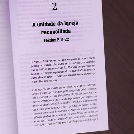 As Cartas de Paulo | Volume 2
 | Timóteo Carriker