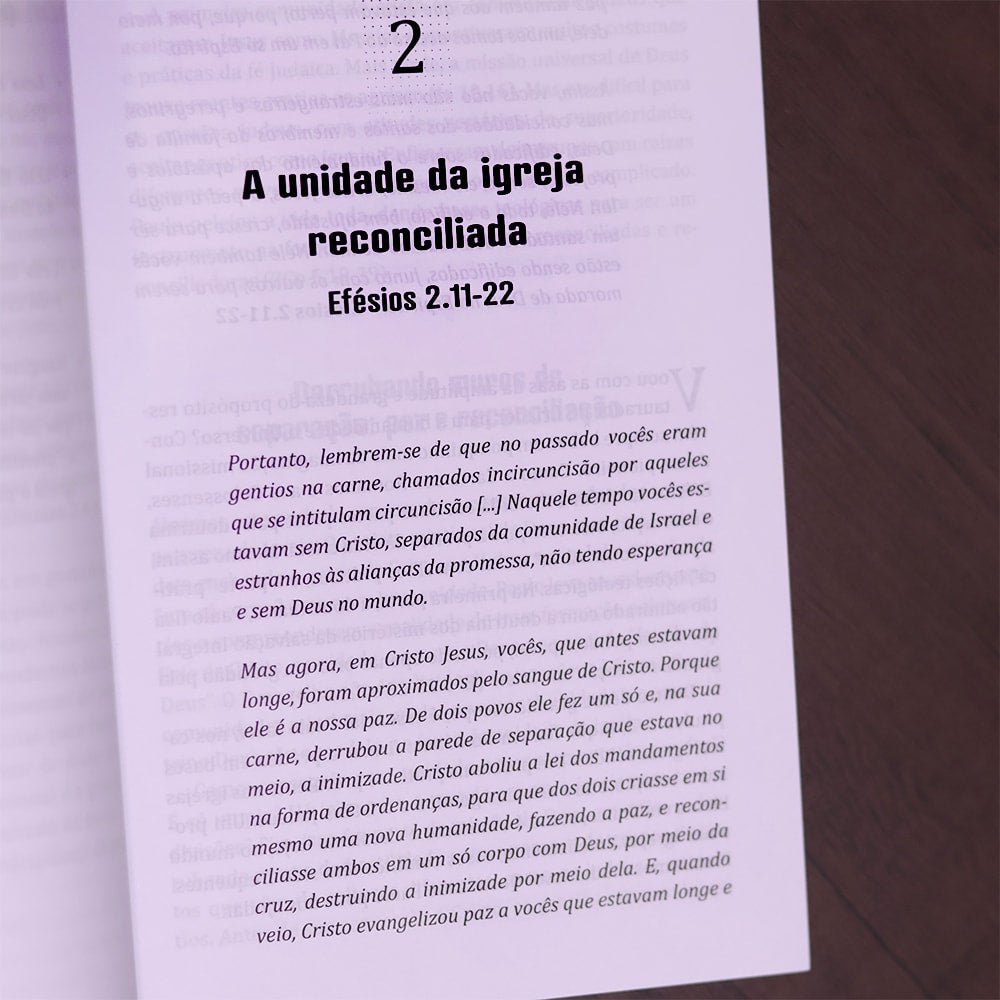 As Cartas de Paulo | Volume 2
 | Timóteo Carriker