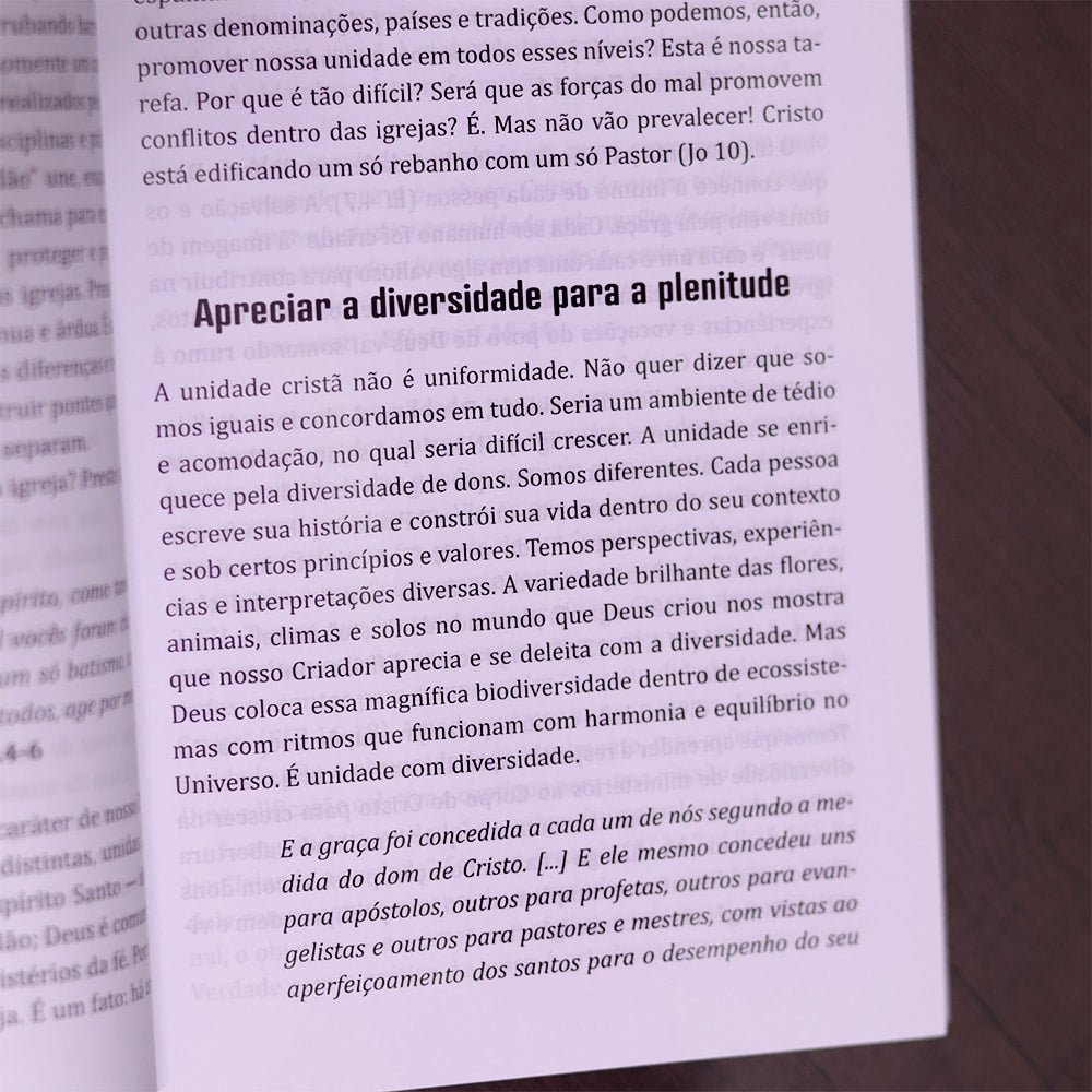 As Cartas de Paulo | Volume 2
 | Timóteo Carriker